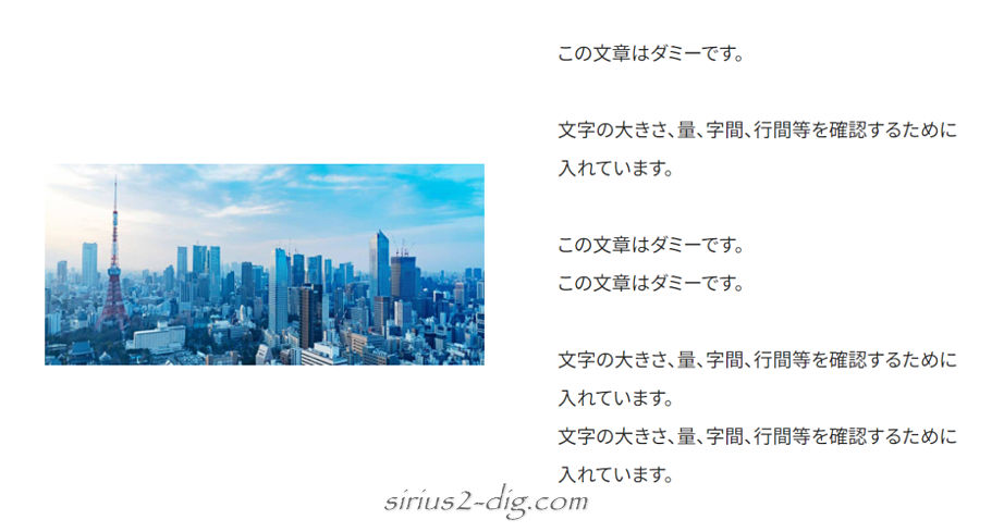 キャプチャ画像