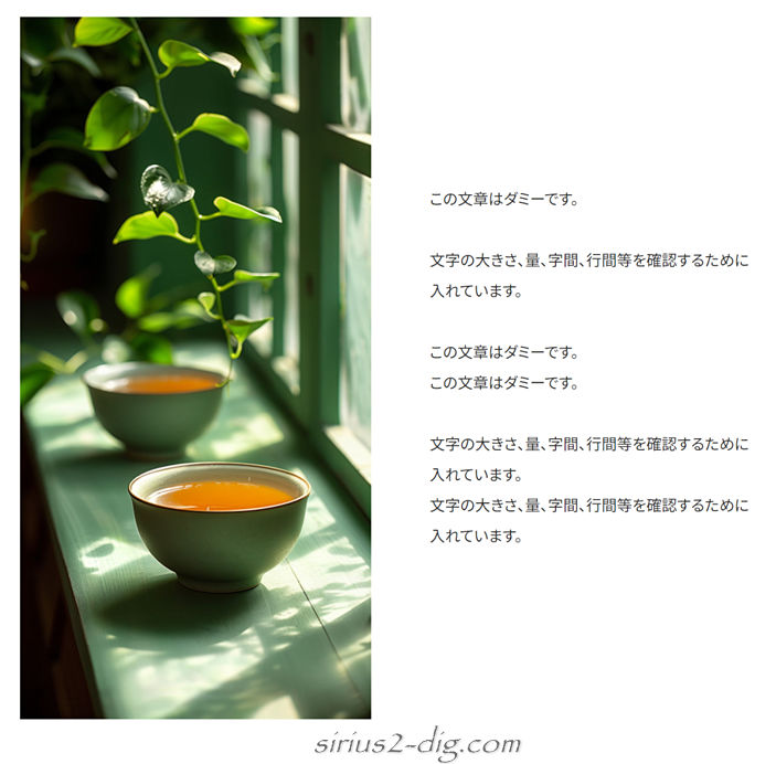 キャプチャ画像