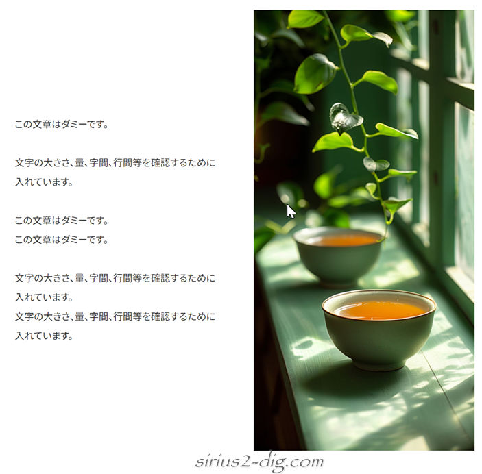キャプチャ画像