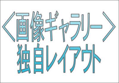 ＜画像ギャラリー＞独自レイアウト