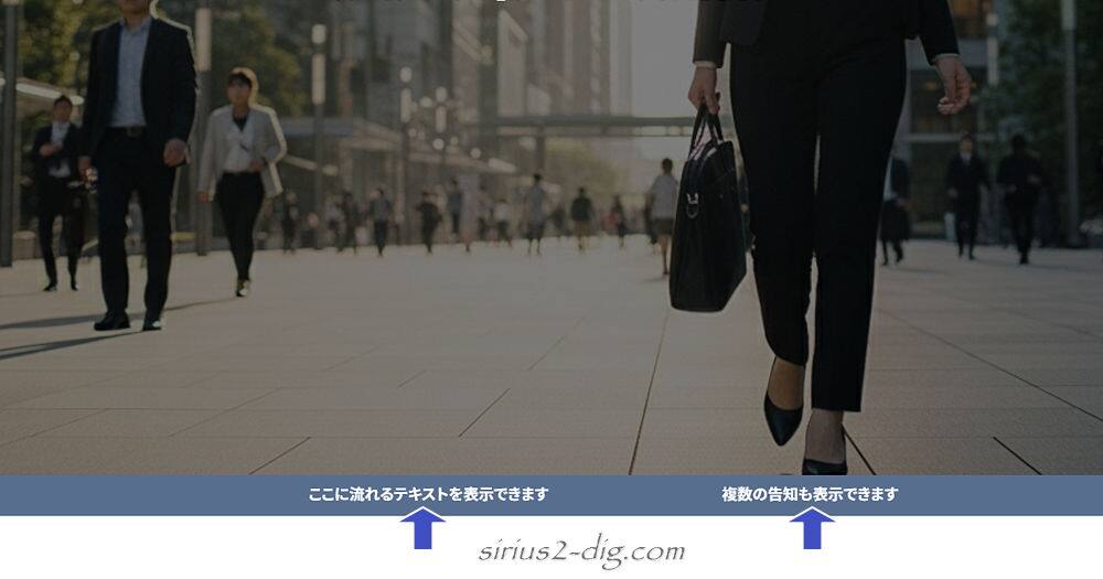 キャプチャ画像