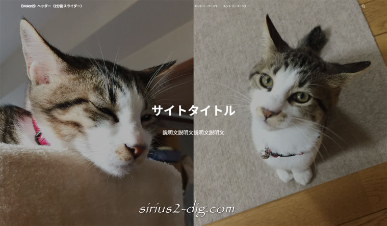 キャプチャ画像