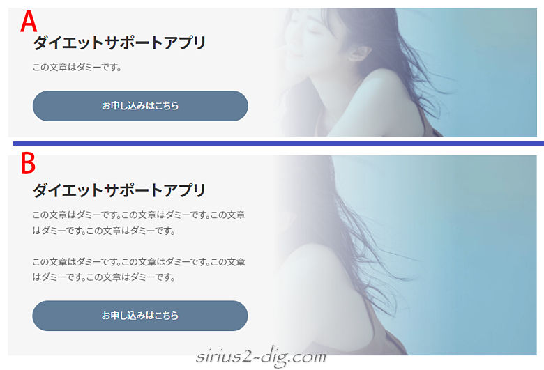 キャプチャ画像