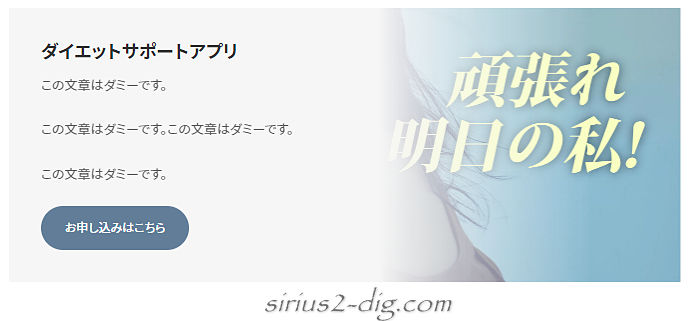 キャプチャ画像