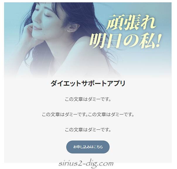 キャプチャ画像